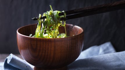 Sept algues comestibles et leurs bienfaits pour la santé 