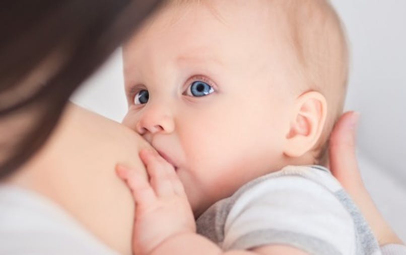 Allaitement Comment Fonctionne L Instinct Des Bebes Sante Magazine Allaitement Comment Fonctionne L Instinct Des Bebes Sante Magazine