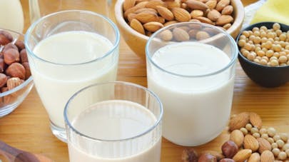 Lait De Riz Lait De Soja Quelle Boisson Vegetale Choisir