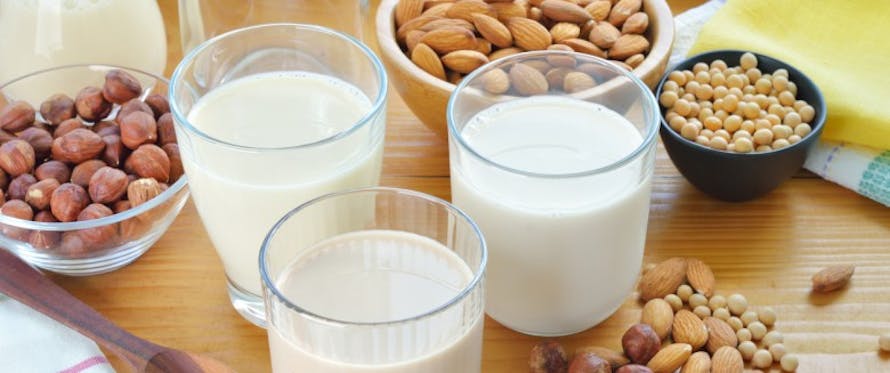 Le lait végétal est-il une bonne alternative ? - Magazine Avantages
