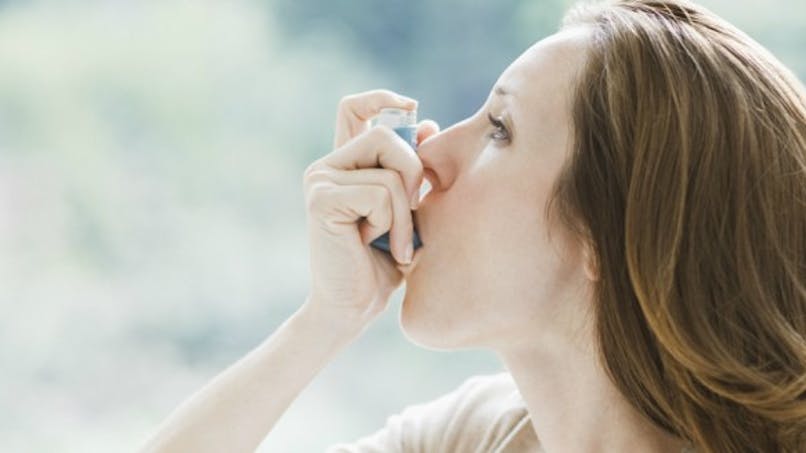 Un médicament contre l'asthme issu du jardin ?