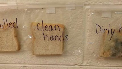 Une enseignante montre l'importance de se laver les mains avec une méthode originale