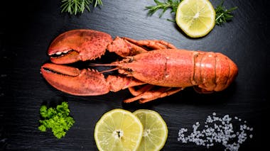 Le homard, famille des crustacés Le homard, le plus fin des crustacés