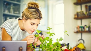 Meilleur aide minceur 2018 Meilleur aide minceur 2018