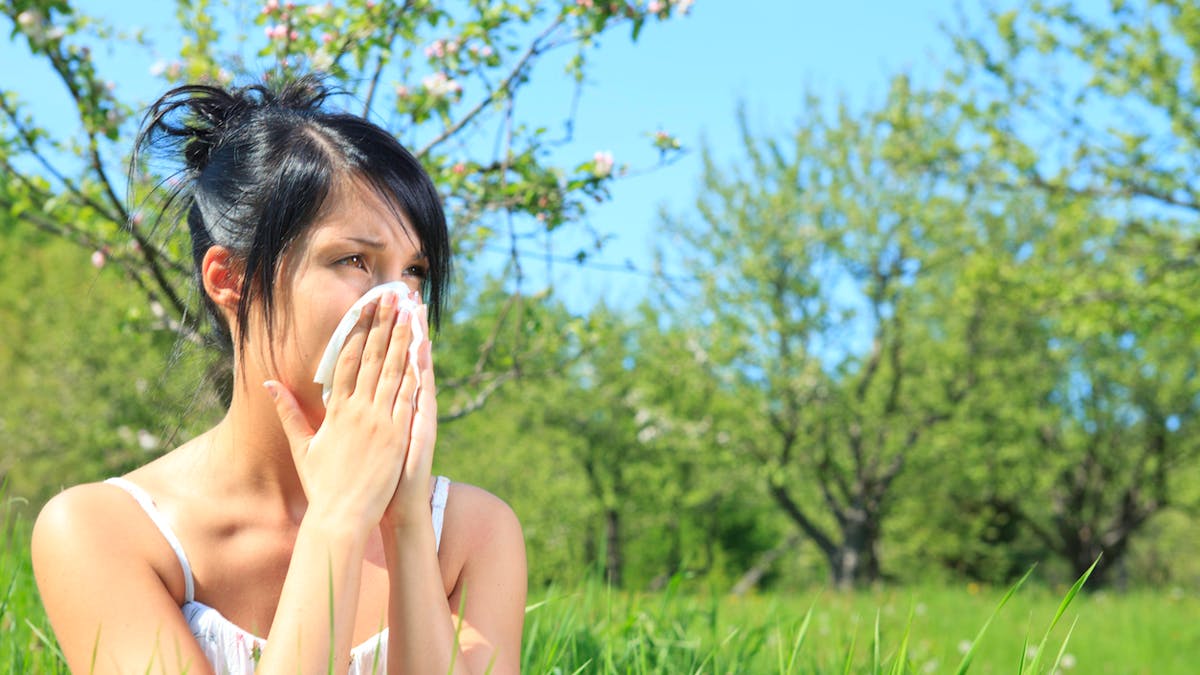 Dix antihistaminiques et anti-inflammatoires contre les allergies