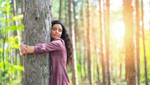 Sylvothérapie : comment les arbres nous aident à aller mieux ? 