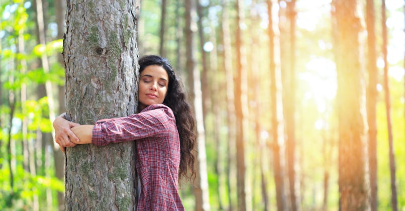 Lutter contre le stress avec les arbres