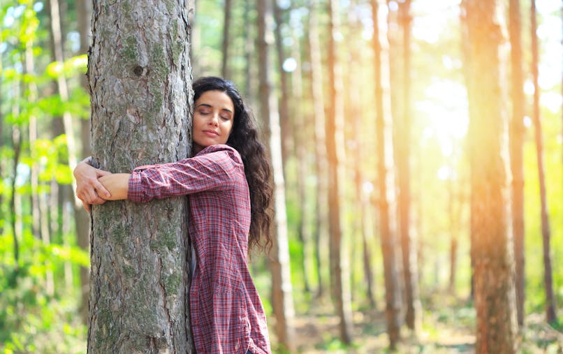 Lutter contre le stress avec les arbres