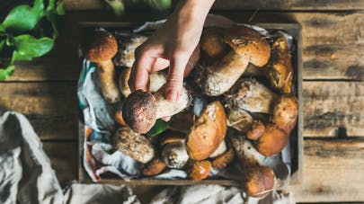 3 bonnes raisons de manger des champignons