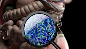Microbiote : en réalité, plus de la moitié de notre corps n’est pas humain