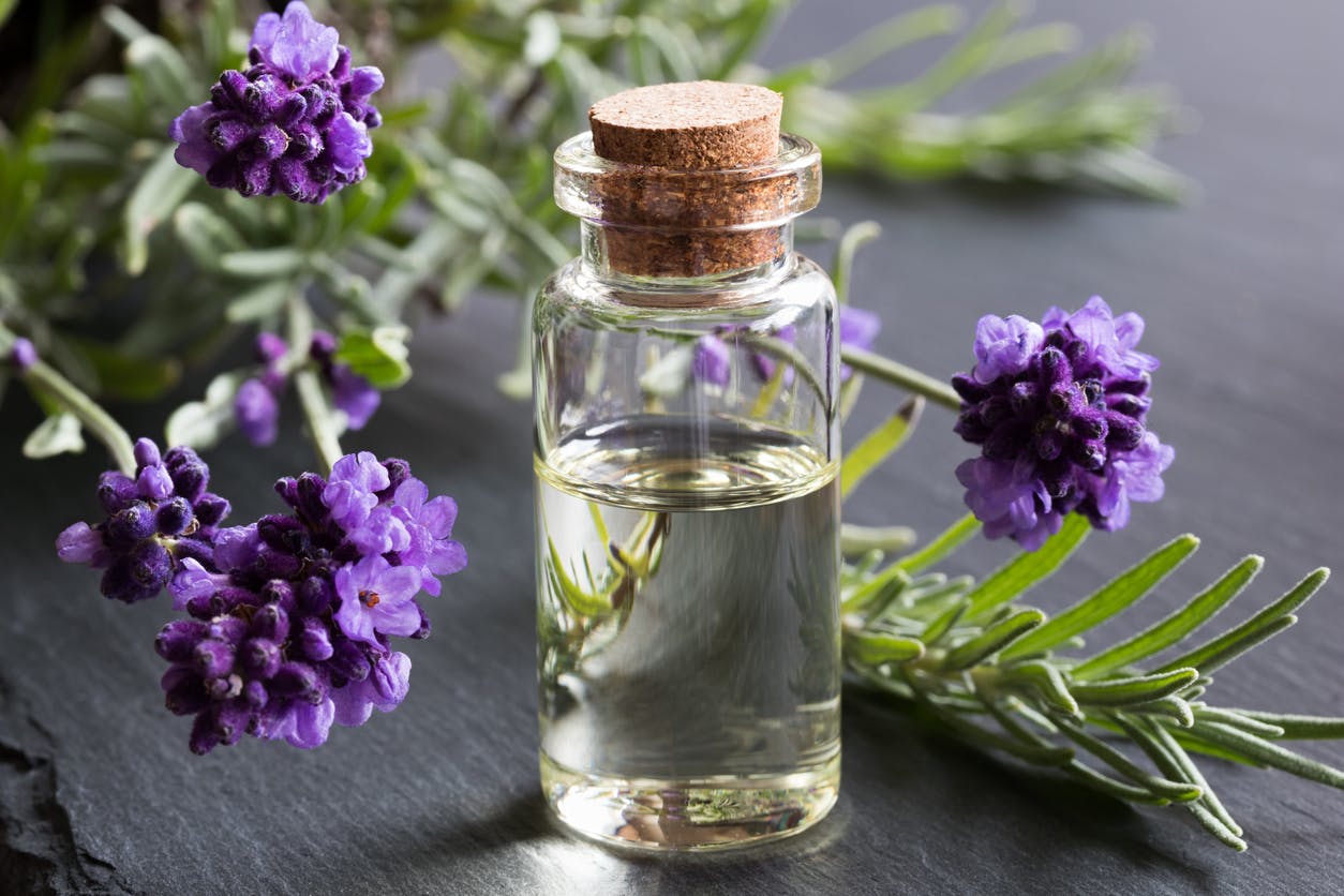 Aceite esencial de lavanda: beneficios e indicación de lavanda ...