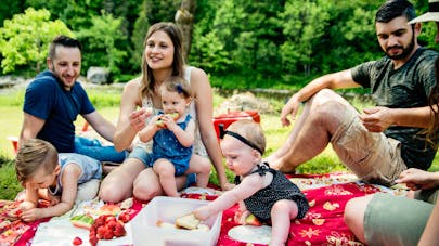 Sécurité alimentaire : les règles à respecter pour un pique-nique