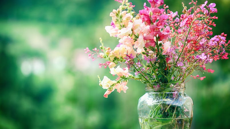 S'offrir un bouquet de fleurs pour diminuer le stress