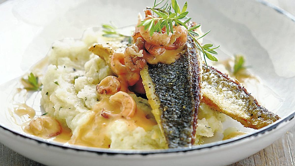 Recette Dorade Et Puree De Chou Fleur Sante Magazine Recette Dorade Et Puree De Chou Fleur Sante Magazine