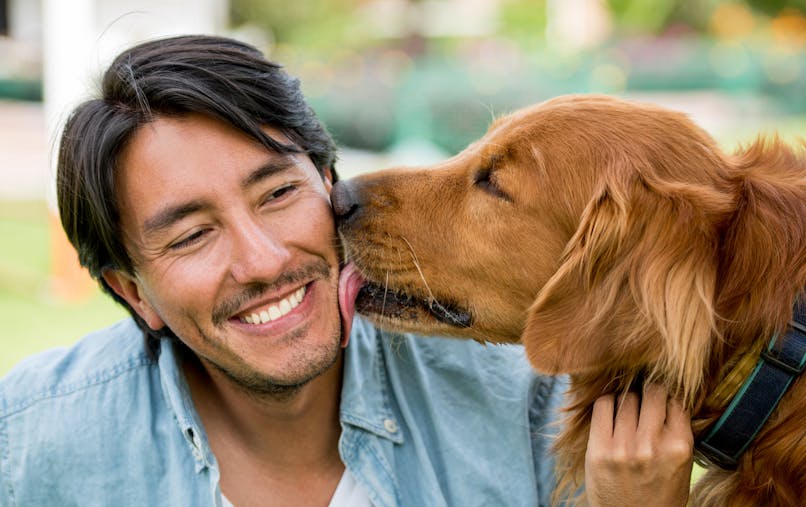 Chiens Et Chats Leur Salive Pas Si Anodine Sante Magazine Chiens Et Chats Leur Salive Pas Si Anodine Sante Magazine