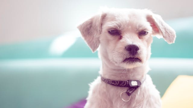 5 astuces pour être moins irrité Istock-500731036