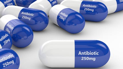 Quand les antibiotiques commencent-ils à faire effet ?