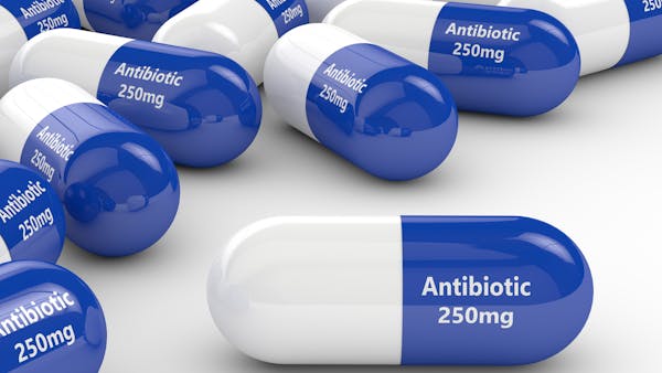 Quand les antibiotiques commencent-ils à faire effet ?