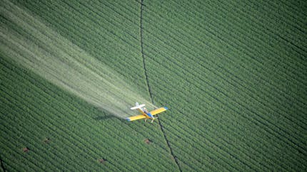 Pesticides : l’indemnisation des victimes encore repoussée