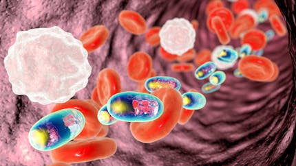 Cancer : les nanoparticules pourraient favoriser les métastases