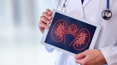 Résultat de recherche d'images pour "test insuffisances renal"