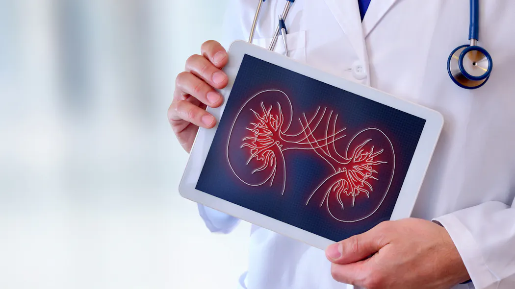 Daurese Rene Diurèse osmotique : définition, causes et symptômes | Santé Magazine
