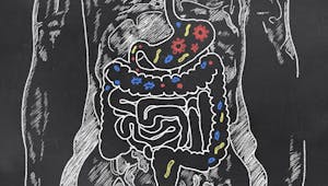 Qu’est-ce qui provoque la maladie de Crohn ?