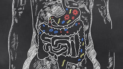 Qu’est-ce qui provoque la maladie de Crohn ?