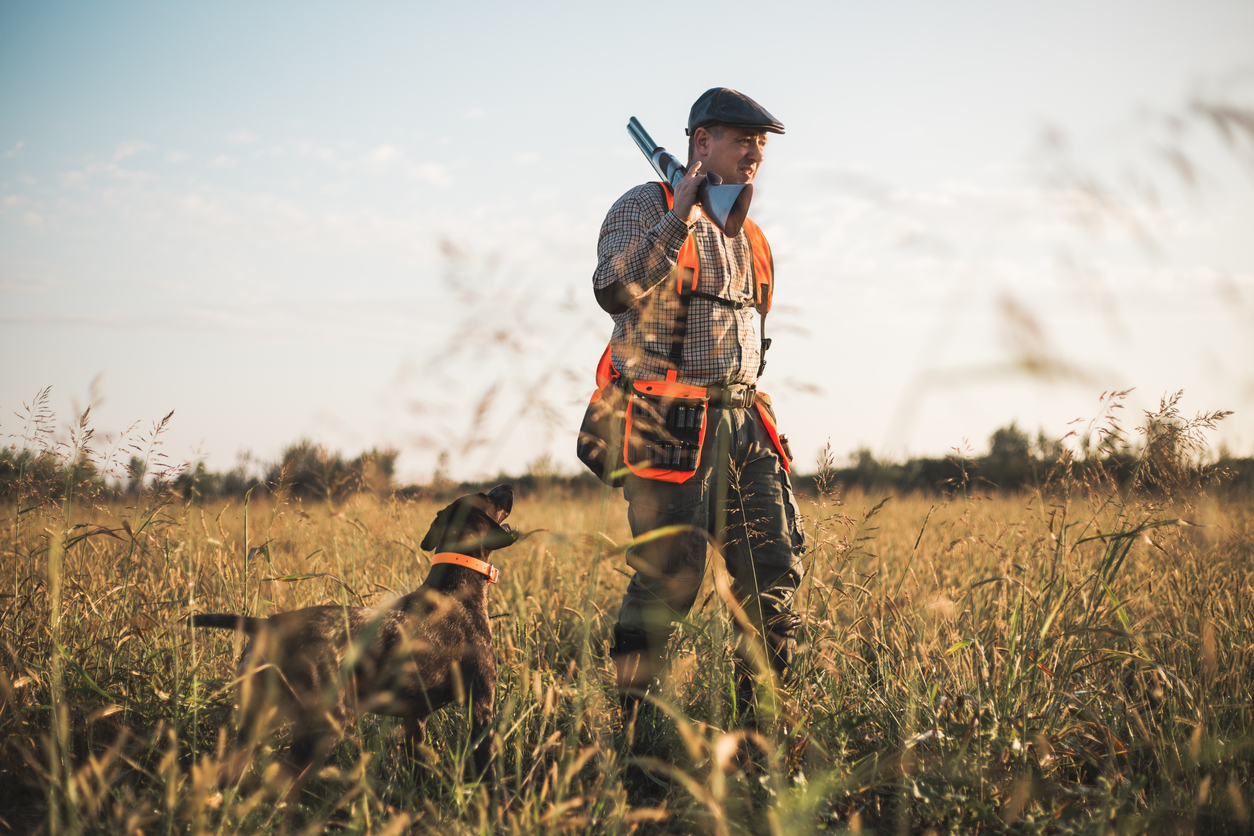 Tiques Les Chasseurs Et Leurs Chiens Pourraient Aussi être