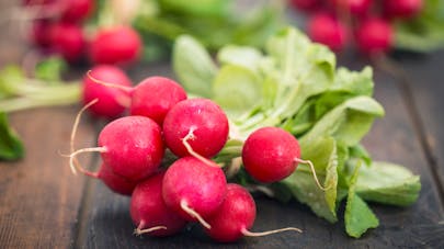 7 bonnes raisons de manger des radis