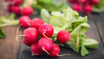 7 bonnes raisons de manger des radis