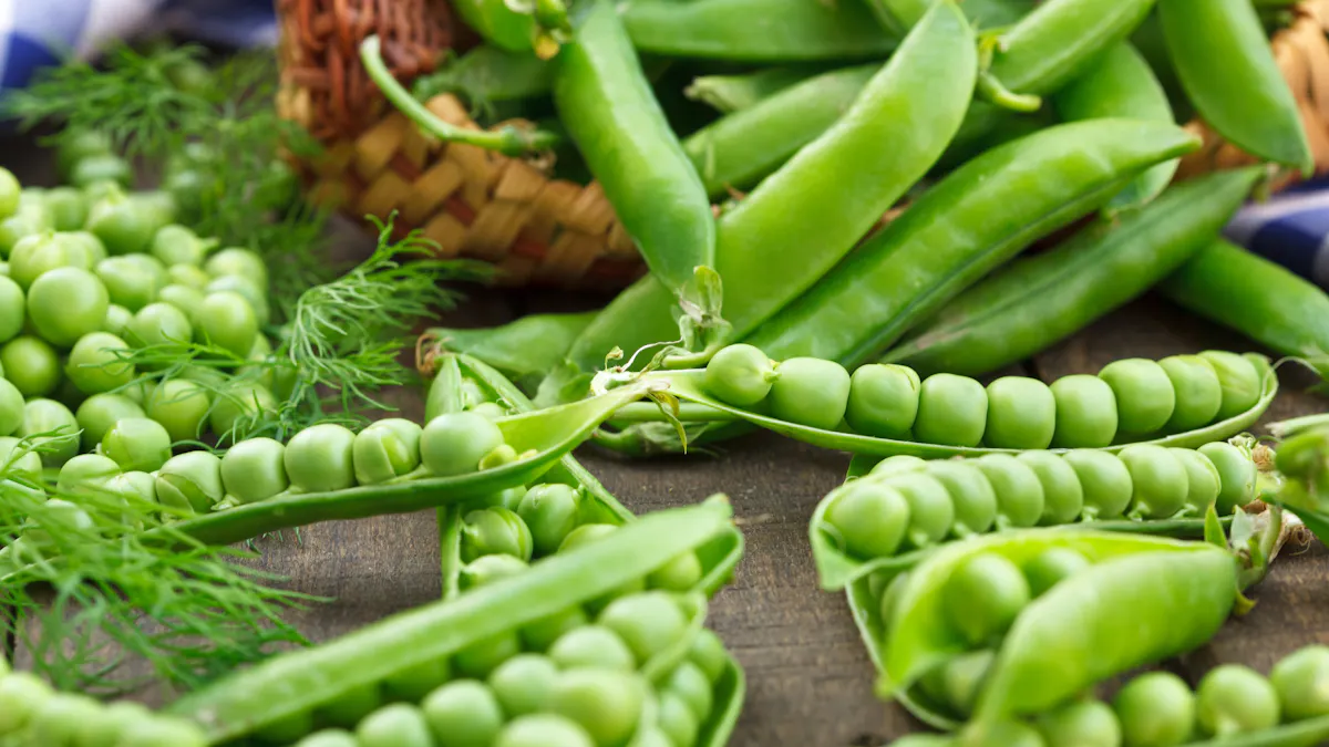 Le Petit Pois Ses Bienfaits Sante Sa Cuisson Sante Magazine Le Petit Pois Ses Bienfaits Sante Sa Cuisson Sante Magazine