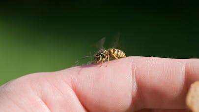 Comment éviter les petits soucis de l'été