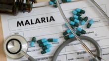 Quels médicaments pour traiter une crise de paludisme ?