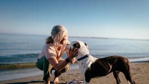 Santé cardiovasculaire : votre chien serait aussi le meilleur ami de votre coeur