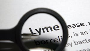 Lyme : sa forme chronique serait en fait un syndrome de fatigue chronique