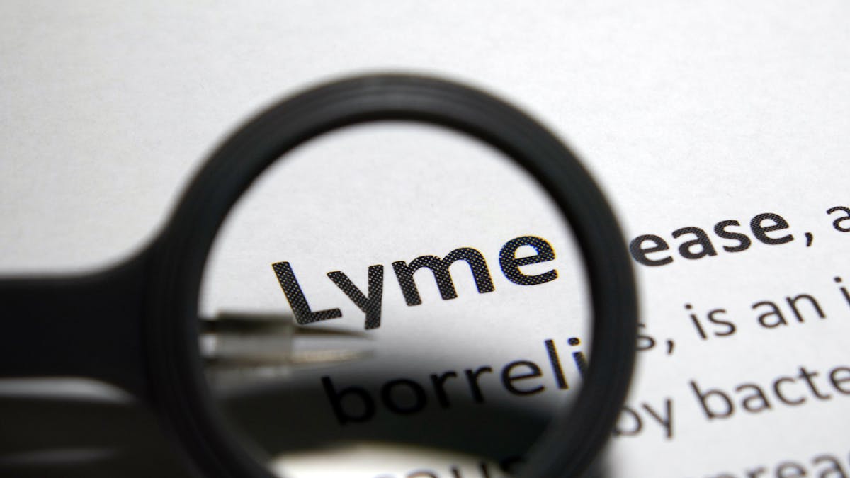 Lyme : sa forme chronique, un syndrome de fatigue chronique ?
