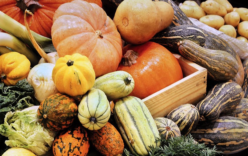 Citrouilles Et Autres Courges D Automne Attention Au Risque D Intoxication Sante Magazine Citrouilles Et Autres Courges D Automne Attention Au Risque D Intoxication Sante Magazine