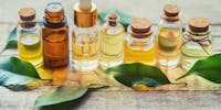 renforcer défenses immunitaires huiles essentielles