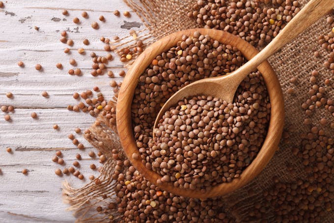 Les lentilles