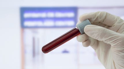 Un nouveau composant du sang découvert ?