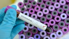Coronavirus : comment les Français s'adaptent-ils à l'épidémie ?