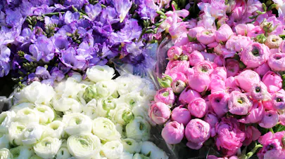 Langage Des Fleurs En Amour Quelle Plante Pour Quel Sentiment Sante Magazine