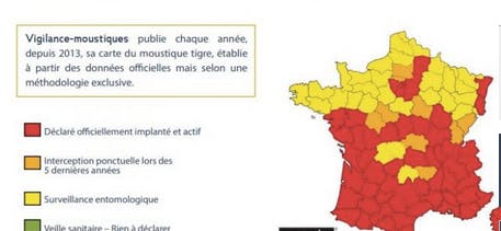 Carte Moustique tigre
