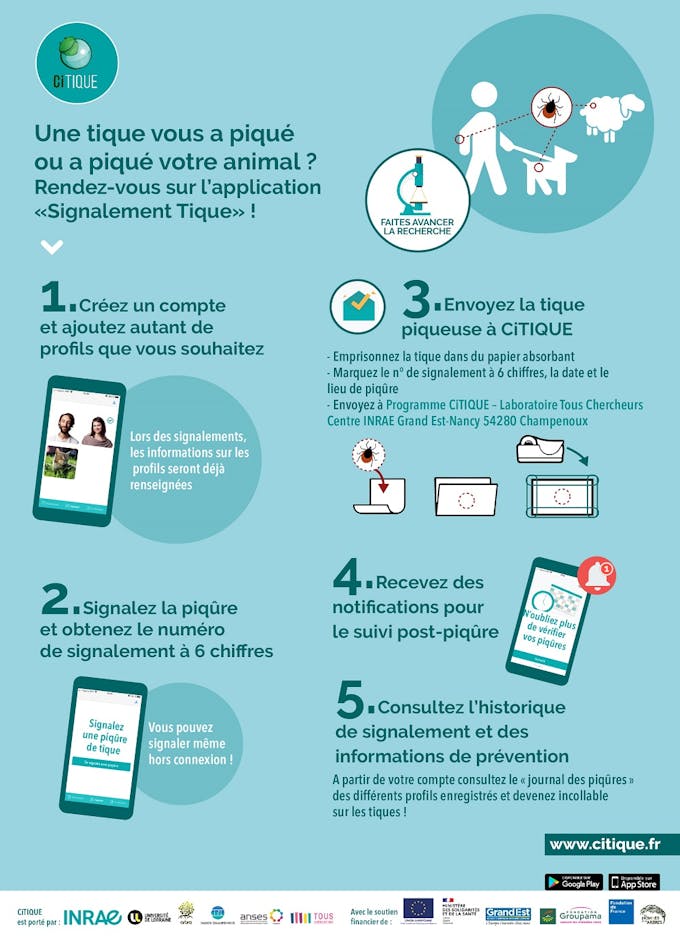 « Signalement Tique » : une nouvelle version de l’application est disponible
