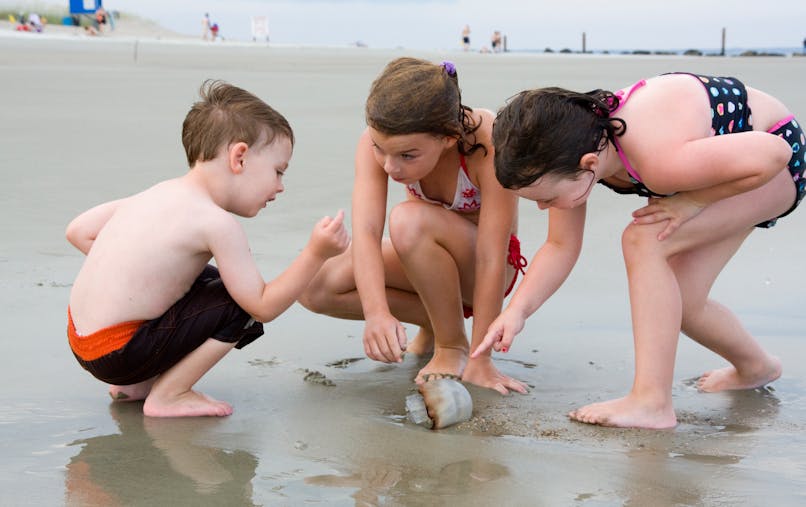 Piqure De Meduse Que Faire Sante Magazine Piqure De Meduse Que Faire Sante Magazine