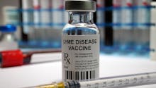 Maladie de Lyme : un vaccin contre les morsures de tiques bientôt commercialisé ?
