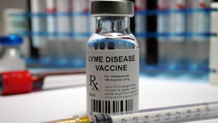 Maladie de Lyme : un vaccin contre les morsures de tiques bientôt commercialisé ? 