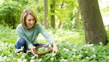 Cueillette de plantes au jardin ou en pleine nature : les conseils de l’Anses pour éviter une intoxication