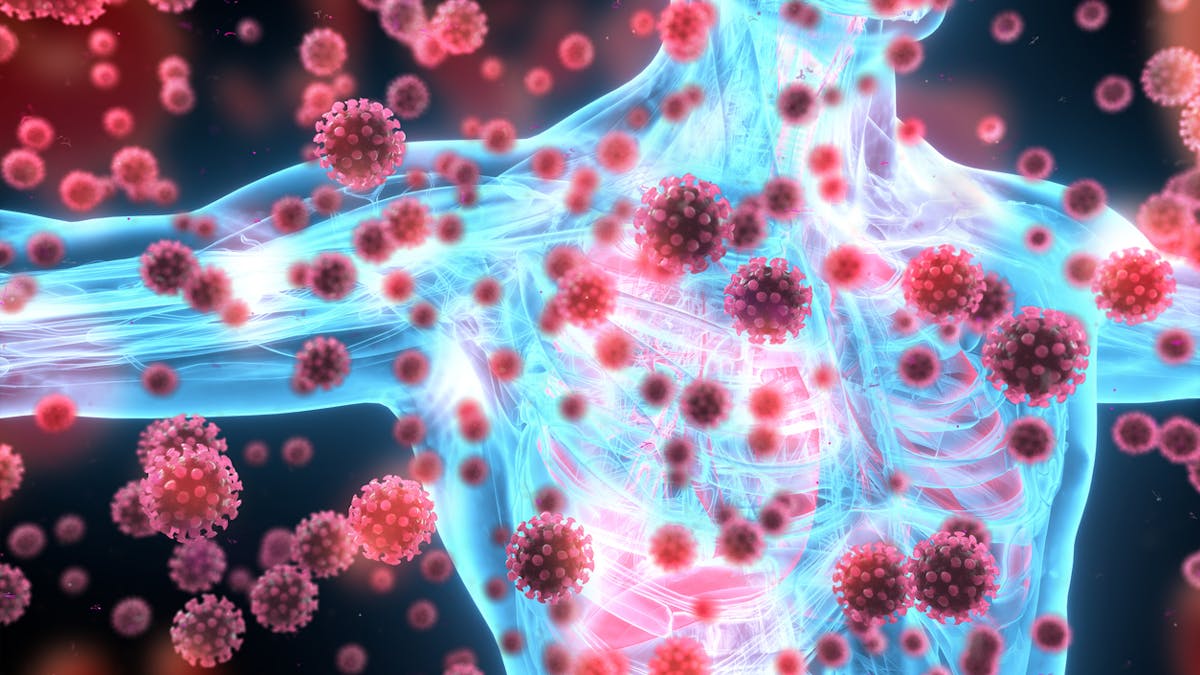Qu’est-ce qui affaiblit le système immunitaire ?